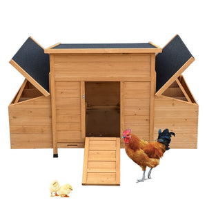 English Elm Chicken Coop Fir Wood Build with Asphalt Roof Six Nest Boxes and Easy Clean Tray W3166P365118