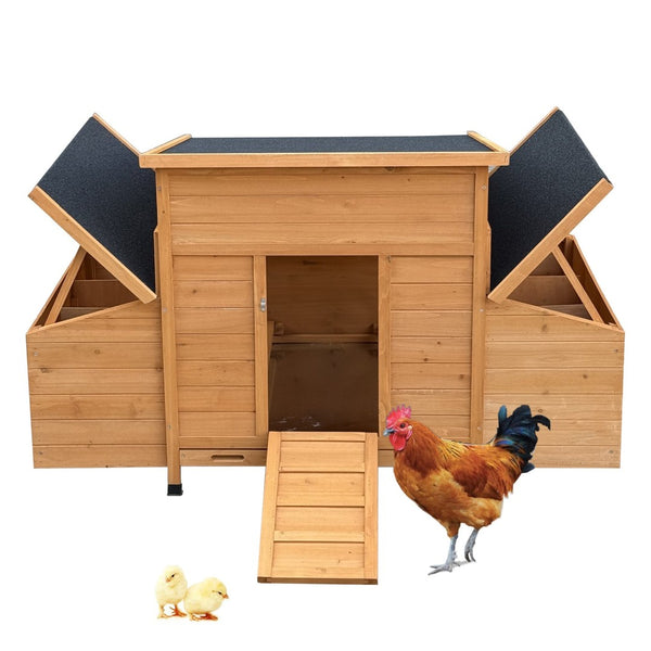 English Elm Chicken Coop Fir Wood Build with Asphalt Roof Six Nest Boxes and Easy Clean Tray W3166P365118