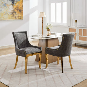 English Elm Chenille Modern Dining Chair with Curved Gold-Plated Legs, Rivet Trim, Textured Upholstery Comfort Gray W1143P332686