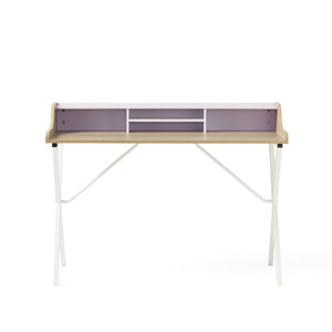 English Elm Christopher Knight Home® - COMPUTER Modern Light Pink Teak Desk with Iron Legs, Hutch Shelf for Organized Chic Home Office 56973.00