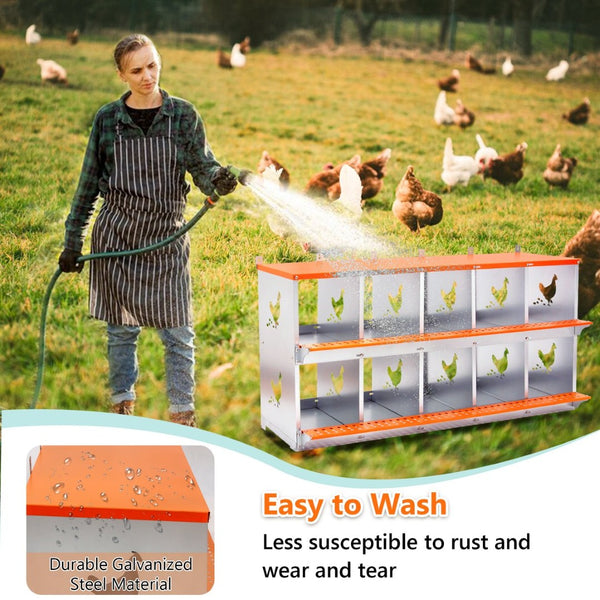 English Elm 10-bay Galvanized Steel Wall Mount Nest Box with Coconut Fiber Pads for Backyard Flocks W1422P355412