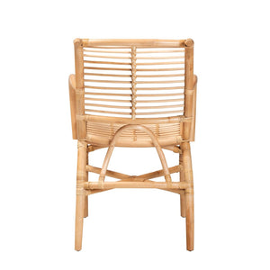 English Elm Modern Woven Rattan Accent Chair Openwork Lattice Frame for Sunroom or Bedroom B2750P420383