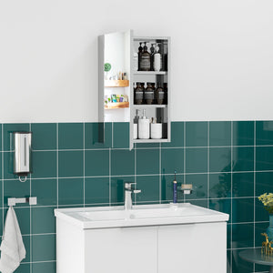 English Elm kleankin Wall-Mounted Medicine Cabinet with Mirror — Stainless Steel Waterproof Storage, Soft-Close Doors, 15x24 Silver W2225P200360
