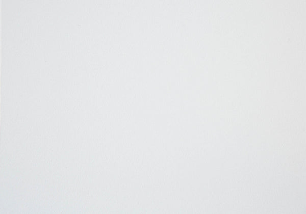 English Elm File Cabinet Rolling Mobile Storage Drawer Unit with Smooth Glides, Printer Stand, Compact Mobility White 25 L x 20 W x 7 H B2710P219948