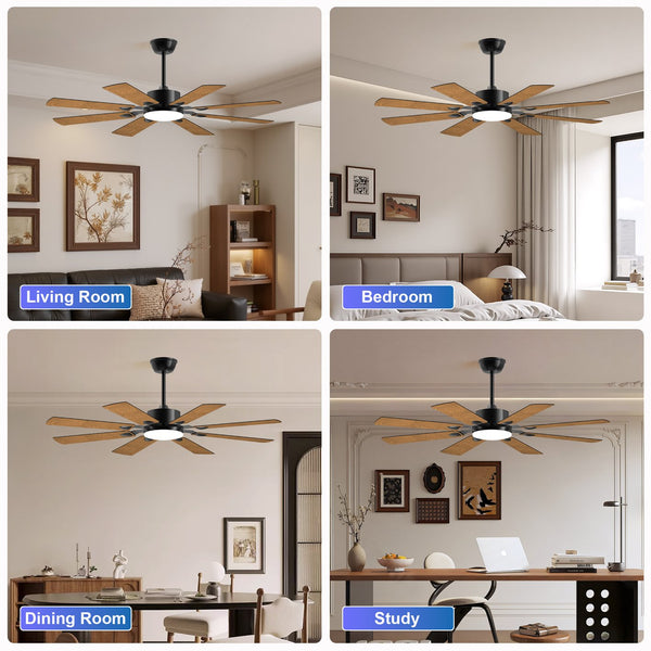 English Elm 52 52 Inch Ceiling Fan with Lights Remote, 8 Plywood Blades, Quiet 6-Speed DC Motor, Reversible LED W1340P346387
