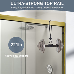 English Elm 44" Semi-frameless Double Sliding Shower Door Brushed Gold Tempered Glass Walk-in W1920P388013