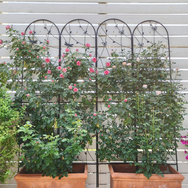 English Elm 4 Pack Powder-coated Metal Garden Trellis Panels Rustproof Climbing Plant Support Outdoor W1586P268047