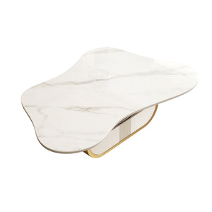 English Elm Modern Butterfly Coffee Table with Sintered Stone Top, Stainless Steel Base, Drawer & Shelf Storage Gold+White W3136S00018