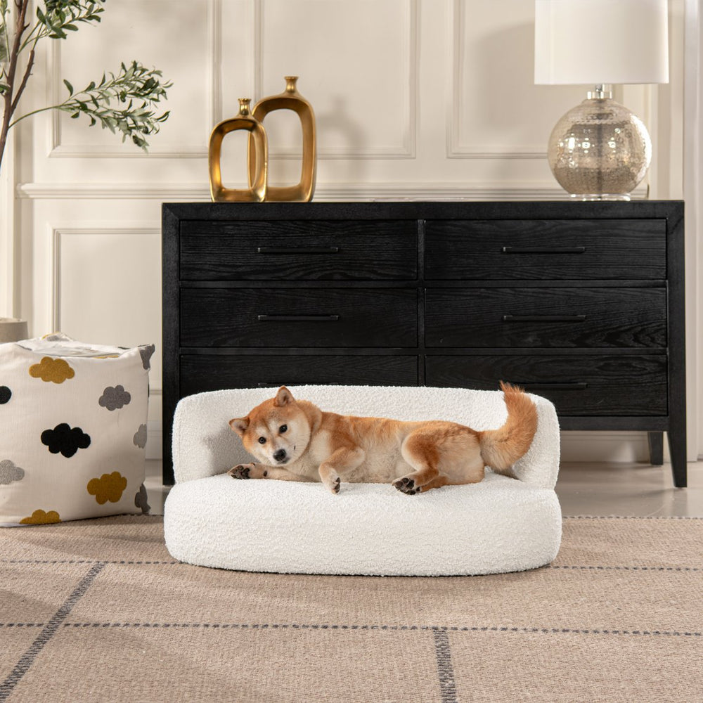 English Elm Jennifer Taylor Home - Shep 36" Curved Dog Sofa Bed for Small/Medium Pets up to 150 lbs – Ivory Bouclé, Plush Foam Comfort B2719P238244