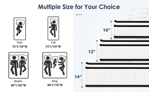 English Elm Twin Size Mattress - 12" Hybrid Comfort With Pocketed Springs, Medium Firm, Hypoallergenic Support W2889P310460-GIGA