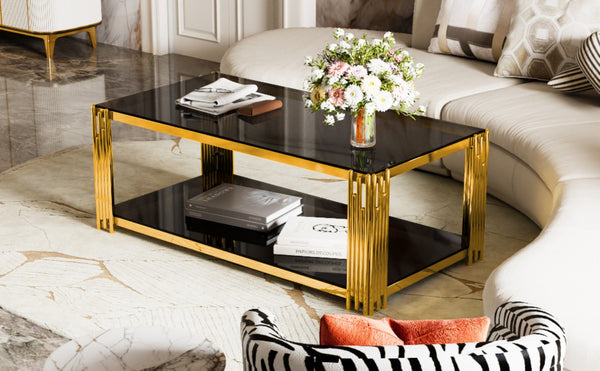 English Elm Modern Glam Rectangular Coffee Table with Mirrored Top Gold Sculptural Frame Open Shelf Black N735P380099B