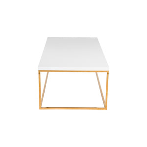 Homeroots 47" White And Gold Metal Coffee Table   400555