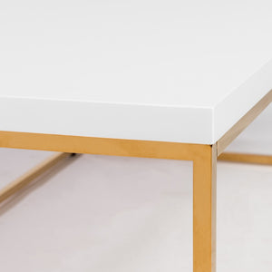 Homeroots 47" White And Gold Metal Coffee Table   400555