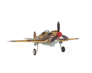 Homeroots C1941 Curtiss Hawk 81a Large Sculpture  Metal 401172