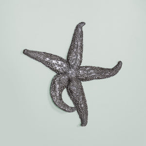 Homeroots 15' Silver Pewter Textured Starfish Wall Art Unframed Textual Art Wall Art  Resin 401228