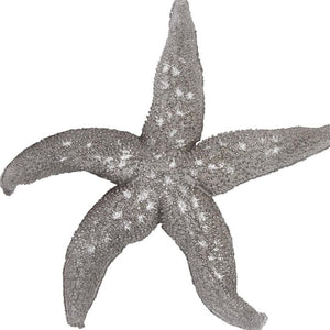 HomeRoots 19" Antiqued Silver Starfish Wall Decor - Coastal Elegance Sculpture for Beachy Homes & Offices 401229