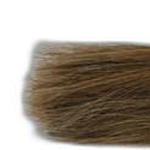 HomeRoots Natural Chunky Coral Calligraphy Brush - Unique Jade & Horsetail Decor for Elegant Home Accents 401520