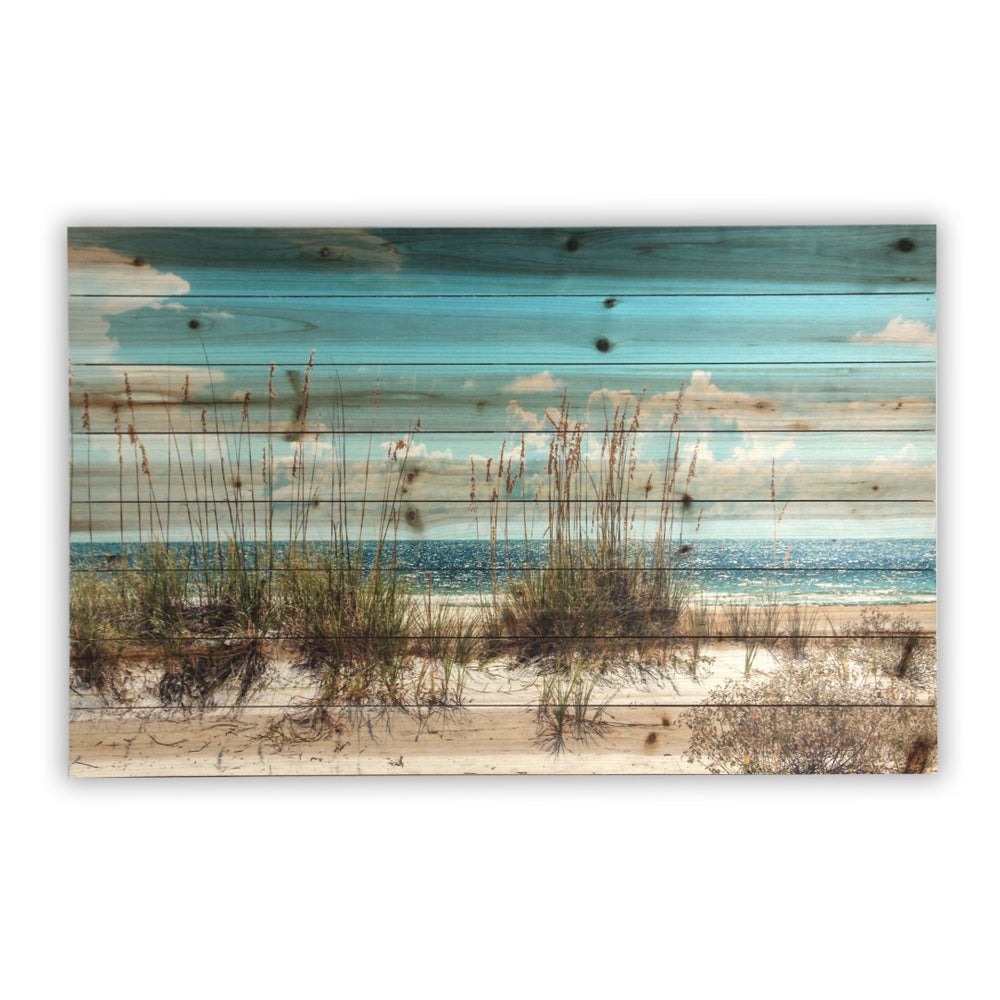 HomeRoots Ocean Sand Dunes Mounted Photograph on Wood - Nautical Wall Art for Modern Farmhouse Decor 401527