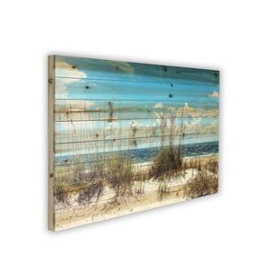 HomeRoots Ocean Sand Dunes Mounted Photograph on Wood - Nautical Wall Art for Modern Farmhouse Decor 401527