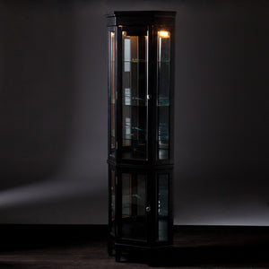 Homeroots Elegant Black Lighted Curio Cabinet  Pine,Mdf,Birch Veneer,Temp Glass,Mirror,Nickel 401663