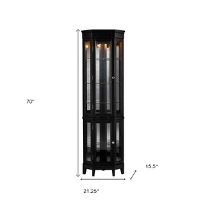 HomeRoots Elegant Black Lighted Curio Cabinet – Space-Saving Showcase with Adjustable Shelves & Mirrored Back 401663
