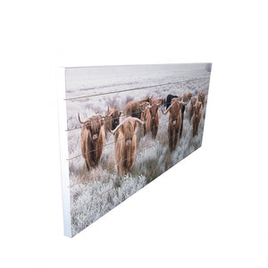 Homeroots Angelic Highland Cow Herd Wood Plank Wall Art  Fir Wood 401738