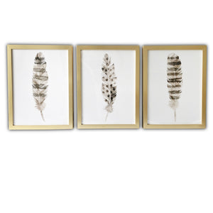 Homeroots Set Of Three Three Neutral Brown Feathers Framed Wall Art Set Picture Frame Graphic Art Wall Art  Paper 401742