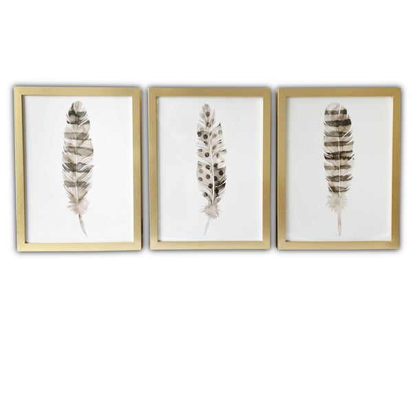 Homeroots Set Of Three Three Neutral Brown Feathers Framed Wall Art Set Picture Frame Graphic Art Wall Art  Paper 401742