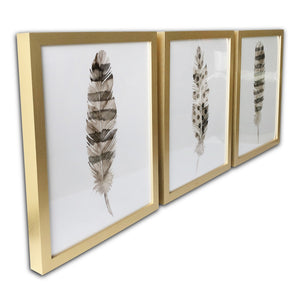 Homeroots Set Of Three Three Neutral Brown Feathers Framed Wall Art Set Picture Frame Graphic Art Wall Art  Paper 401742