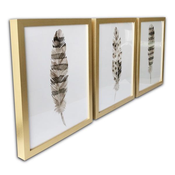 Homeroots Set Of Three Three Neutral Brown Feathers Framed Wall Art Set Picture Frame Graphic Art Wall Art  Paper 401742
