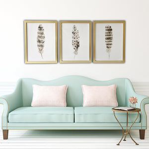 Homeroots Set Of Three Three Neutral Brown Feathers Framed Wall Art Set Picture Frame Graphic Art Wall Art  Paper 401742
