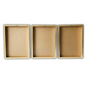 Homeroots Set Of Three Three Neutral Brown Feathers Framed Wall Art Set Picture Frame Graphic Art Wall Art  Paper 401742