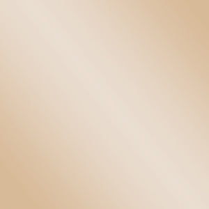 Homeroots 44" Champagne Glass And Metal Rectangular Coffee Table   402123