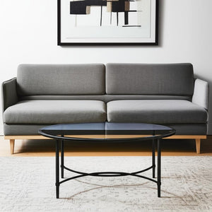 HomeRoots 45" Clear Oval Coffee Table with Black Metal Base - Modern Geometric Design for Any Room Decor 402151