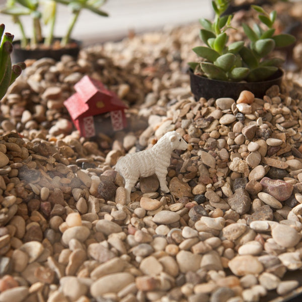 Homeroots 43" Black Glass And Metal Rectangular Coffee Table   402154