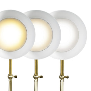 HomeRoots Matte Black and Gold LED Desk Lamp - Adjustable, Eye-Friendly Lighting with USB Charging Port & 3 Modes 402190