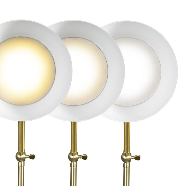 HomeRoots Matte Black and Gold LED Desk Lamp - Adjustable, Eye-Friendly Lighting with USB Charging Port & 3 Modes 402190