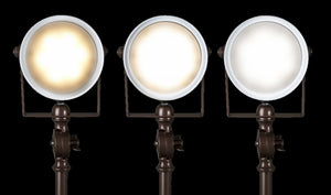 HomeRoots Vintage Industrial Bronze LED Desk Lamp - Adjustable, Touch Control, USB Charging & Eye-Caring Light 402194