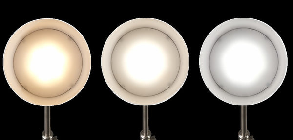 Homeroots Brushed Silver Led Adjustable Desk Lamp   402195