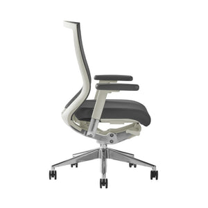 EuroStyle Oroblanco Ergonomic Mesh Task Chair with Synchro Tilt and Polished Aluminum Base Gray/Polished Aluminum 402W