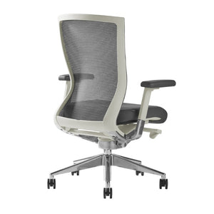 EuroStyle Oroblanco Ergonomic Mesh Task Chair with Synchro Tilt and Polished Aluminum Base Gray/Polished Aluminum 402W
