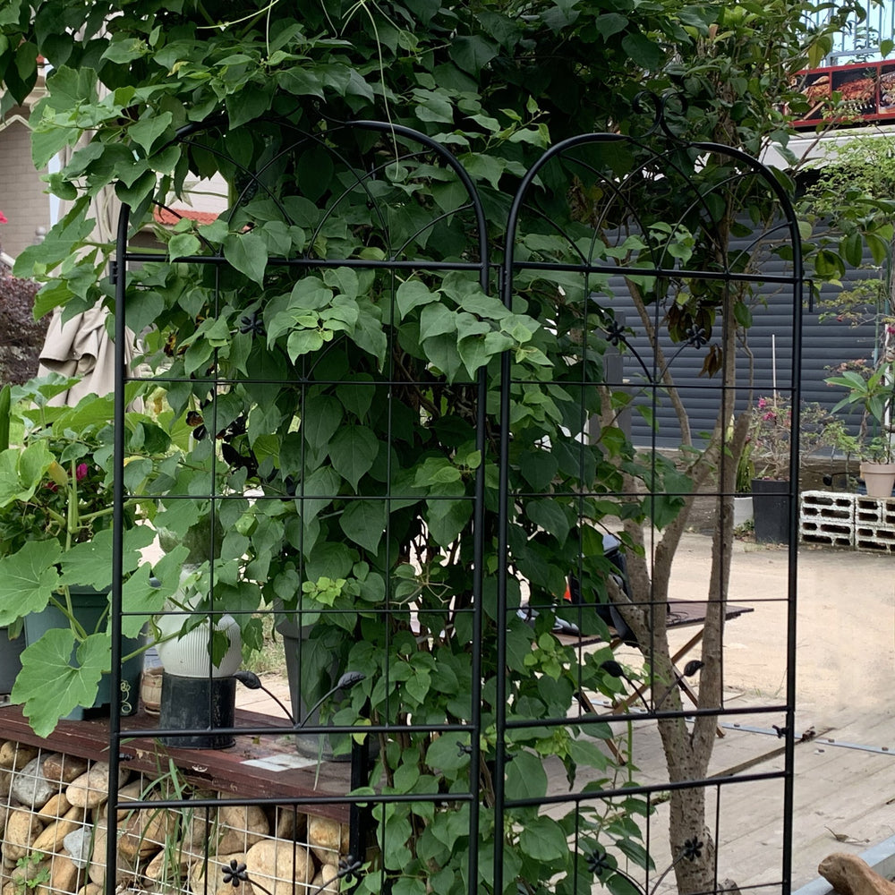 English Elm Metal Garden Trellis Set - Durable 2-Piece Climbing Plant Support For Stylish Indoor/Outdoor Decor W840P321536