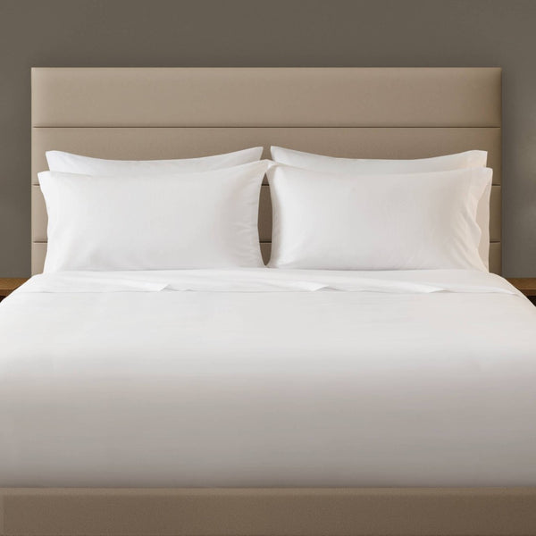 English Elm 4-piece Queen Brushed Microfiber Sheet Set Soft Wrinkle Resistant Oeko-tex Bedding B035P437457