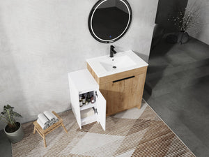 English Elm 42 Inch Freestanding Bathroom Vanity With Ceramic Sink, Soft-Close Doors & Ample Storage Solutions W999S00309