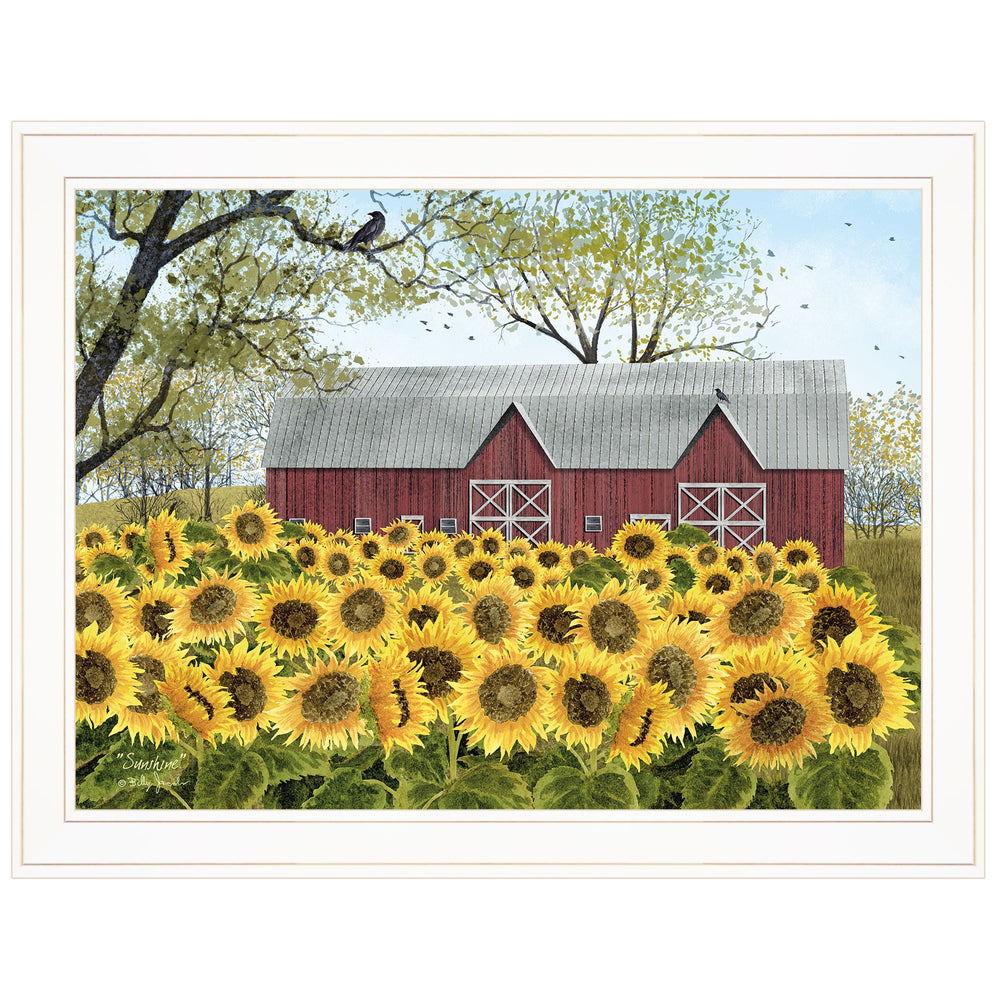 Homeroots Sunshine 4 White Framed Print Wall Art  Wood Paper 404531