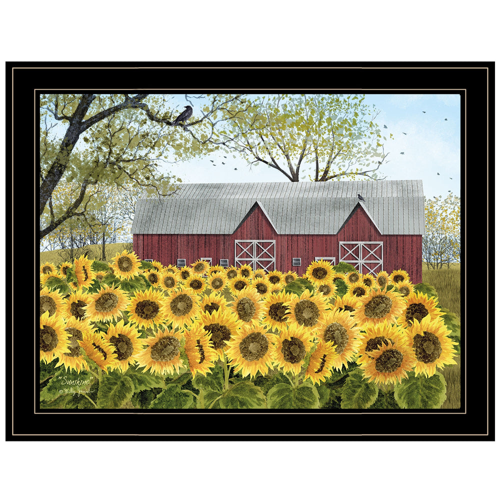 Homeroots Sunshine 5 Black Framed Print Wall Art  Wood Paper 404532