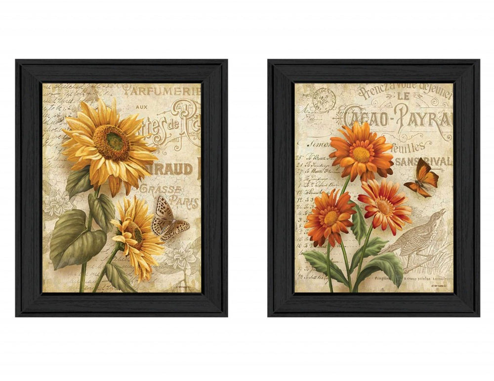 Homeroots Set Of Two Flowers 2 Black Framed Print Wall Art  Mdf Paper Print Texture 405663