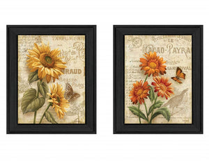 Homeroots Set Of Two Flowers 2 Black Framed Print Wall Art  Mdf Paper Print Texture 405663