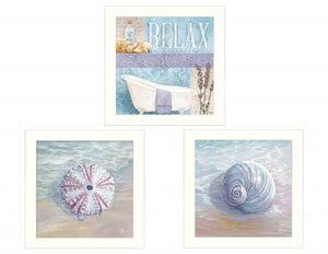 HomeRoots Set of Three Shells I Elegant White Framed Coastal Wall Art for Bathroom & Home Décor Refresh 405679