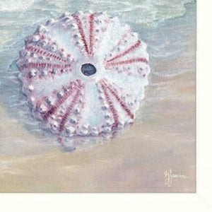 HomeRoots Set of Three Shells I Elegant White Framed Coastal Wall Art for Bathroom & Home Décor Refresh 405679